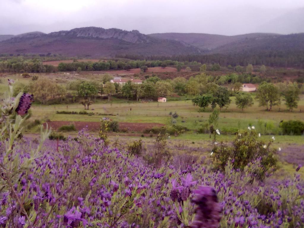 Las Lucias, Experiencias De Ecoturismo Наватрасьерра Экстерьер фото